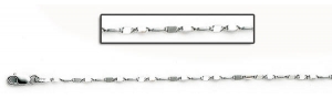 14K White Gold Twisted Lumachina Chain