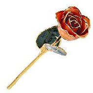 Lacquered Orange Rose