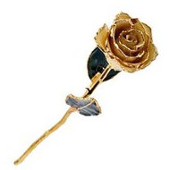 Lacquered White Rose