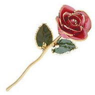 Lacquered Pink Rose