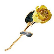 Lacquered Yellow Rose