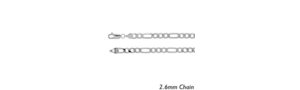 14K White Gold Figaro Link Chain