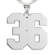 NEW High Polished Jersey Number Pendant with 2 Digits
