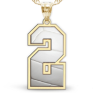 Volleyball Color Enameled Single Number Pendant or Charm