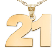 High Polished Number Pendant with 2 Digits