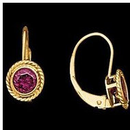 14K Yellow Gold Teen LeverBack Rope Bezel Earring
