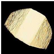 14K Yellow Gold Gents Signet Ring W/Brush Finished Top
