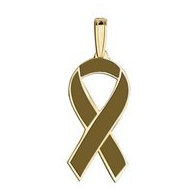 Awareness Ribbon Brown Color Charm