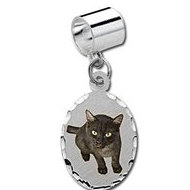 Sterling Silver Petite Oval Pandora Style Picture Charm
