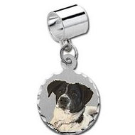 Sterling Silver Petite Round Pandora Style Picture Charm