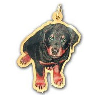 14K Yellow Gold Outlined Photo Pendant