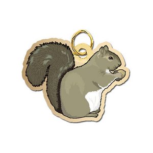 Squirrel Charm