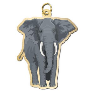 Elephant   African Charm