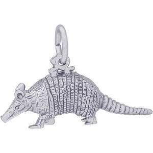 ARMADILLO