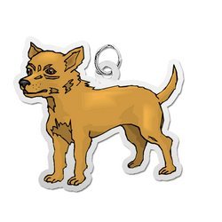 Dog   Chihuahua Charm