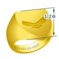 Shield TraditionalSignet Ring