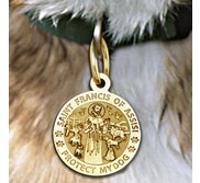 Saint Francis of Assisi    Protect My Dog  Pet Tag