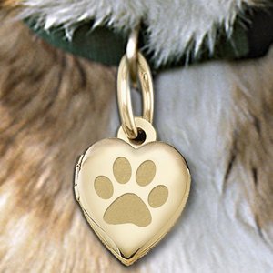 Dog s Paw Print Heart Picture Locket