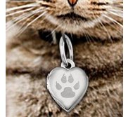 Cat s Paw Print Heart Picture Locket