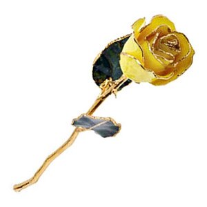 Lacquered Yellow Rose