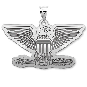 U S AirForce National Guard Colonel Pendant
