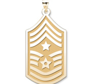 U S AirForce National Guard Command Chief Master Sergeant Pendant