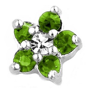 Glass Charm Locket Flower Shaped Birthstone