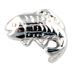 Glass Charm Locket Fish Charm