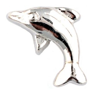 Glass Charm Locket Dolphin Charm