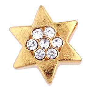 Glass Charm Locket Cubic Zirconia Jewish Star of David Charm