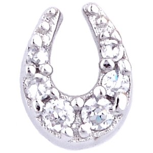 Glass Charm Locket Cubic Zirconia Paved Horseshoe Charm