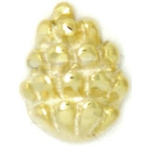 Glass Charm Locket Pinecone Note Charm