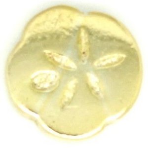 Glass Charm Locket Sand Dollar Small Charm