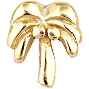 Glass Charm Locket Palm Tree