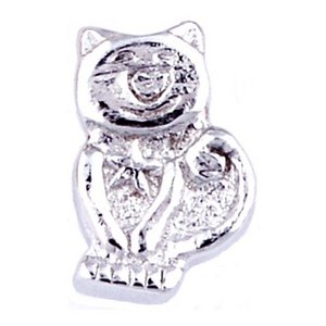 Glass Charm Locket Kitty Cat Charm