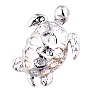 Glass Charm Locket Turtle Charm