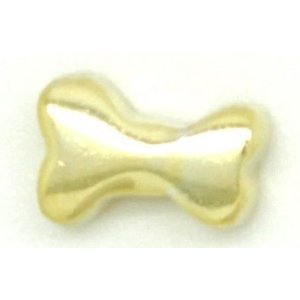 Glass Charm Locket  Dog Bone Charm