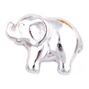 Glass Charm Locket Elephant Charm