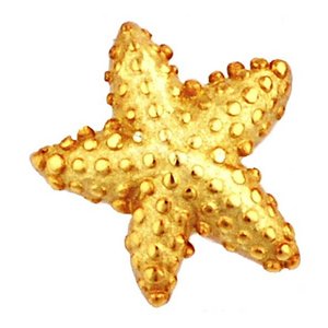 Glass Charm Locket Starfish Puffy Charm