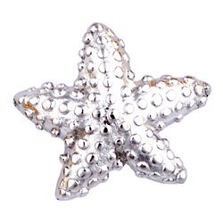 Glass Charm Locket Starfish Puffy Charm