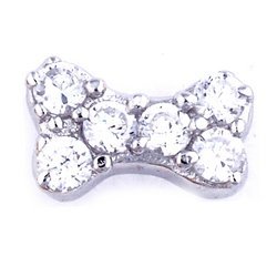 Glass Charm Locket Cubic Zirconia Cruise Ship Charm