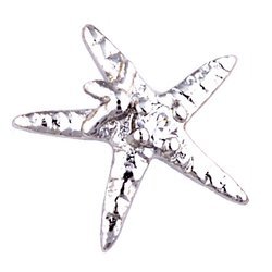 Glass Charm Locket Cubic Zirconia Starfish Charm