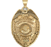 Personalized Illinois Police Badge with Your Name  Rank  Number   Department