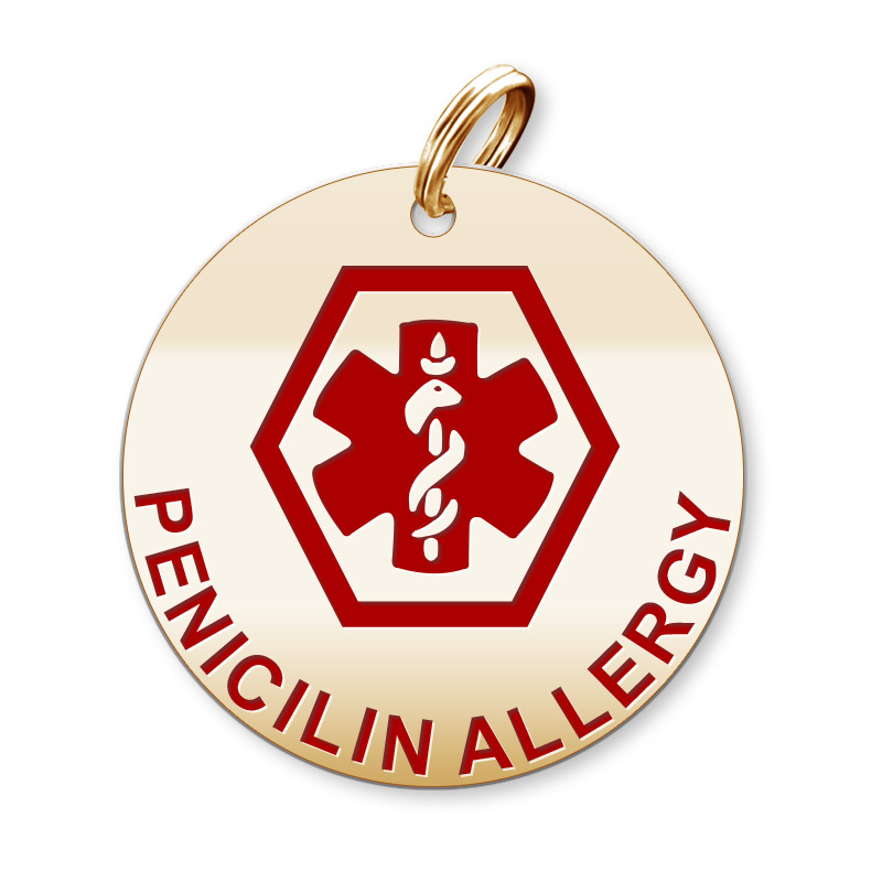 Medical Round Penicilin Allergy Charm or Pendant PG101415