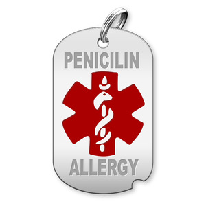 Dog Tag Penicilin Allergy Charm or Pendant