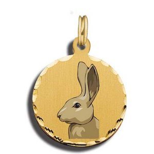 Rabbit Charm