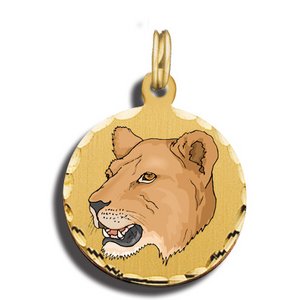 Female Lion Charms