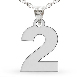 Single Digit High Polished Number Charm or  Pendant