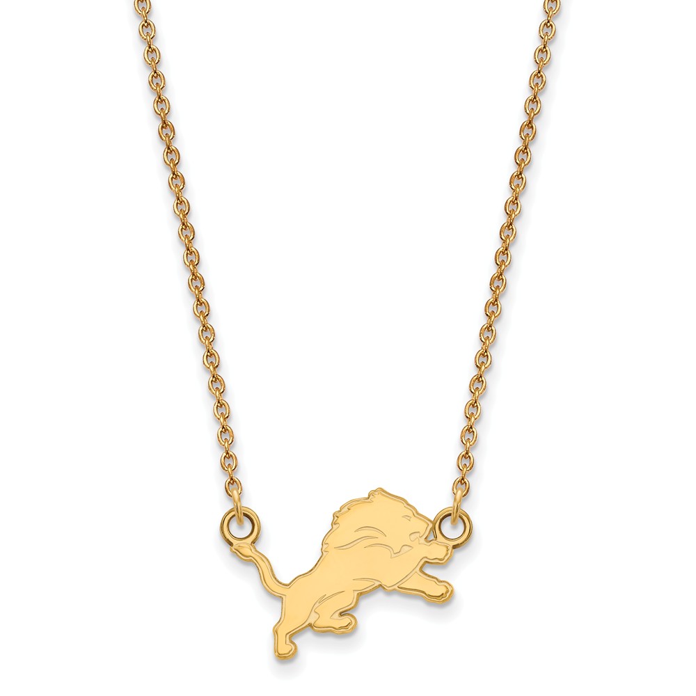 Detroit Lions Chain Necklace with Small Charm – Mr. Sports Wear