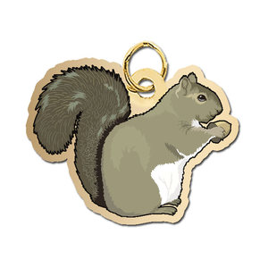 Squirrel Charm